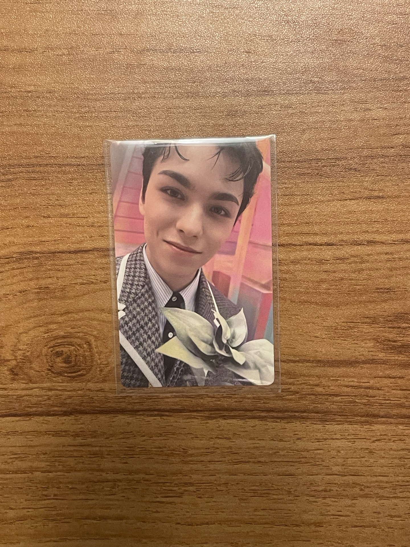 精選專 wvs carat特典卡率