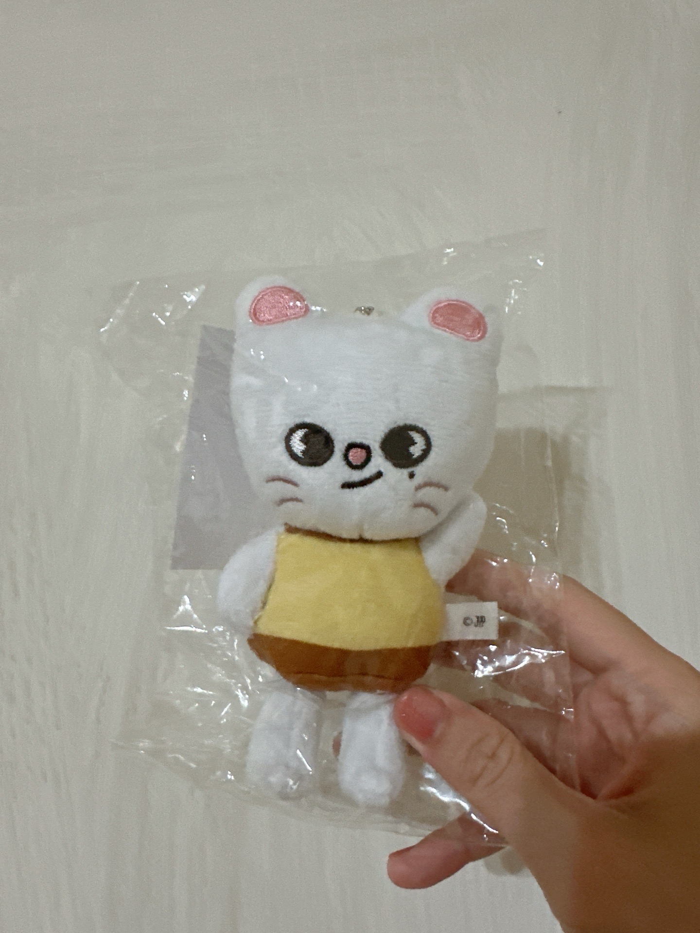 燦辰set小盤+小貂布丁娃🐺🥟