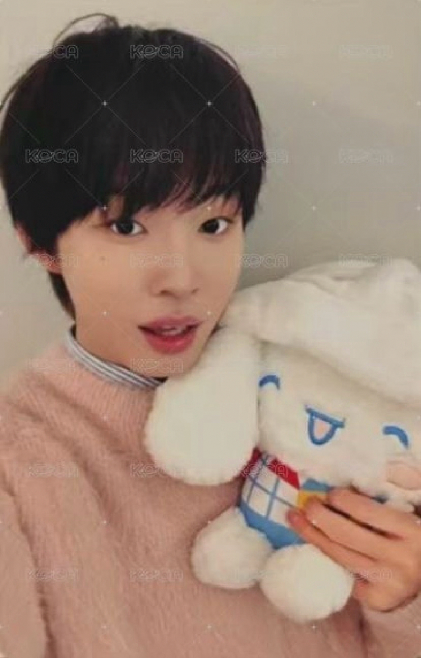 迷三 ms 15.0線上 簽售卡 大耳狗ver.