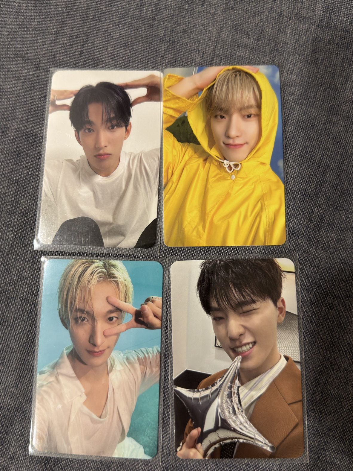 精選專 專輯卡 CARAT ver. 克拉盤 狗耳碩