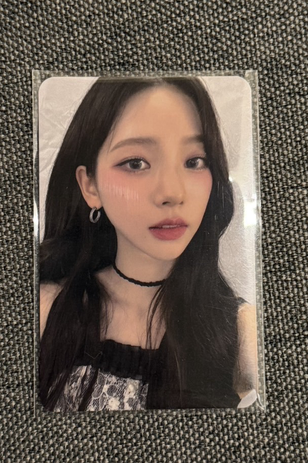 泰蘭德柚 1元起標