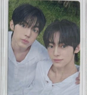 wvs限定24雙人卡