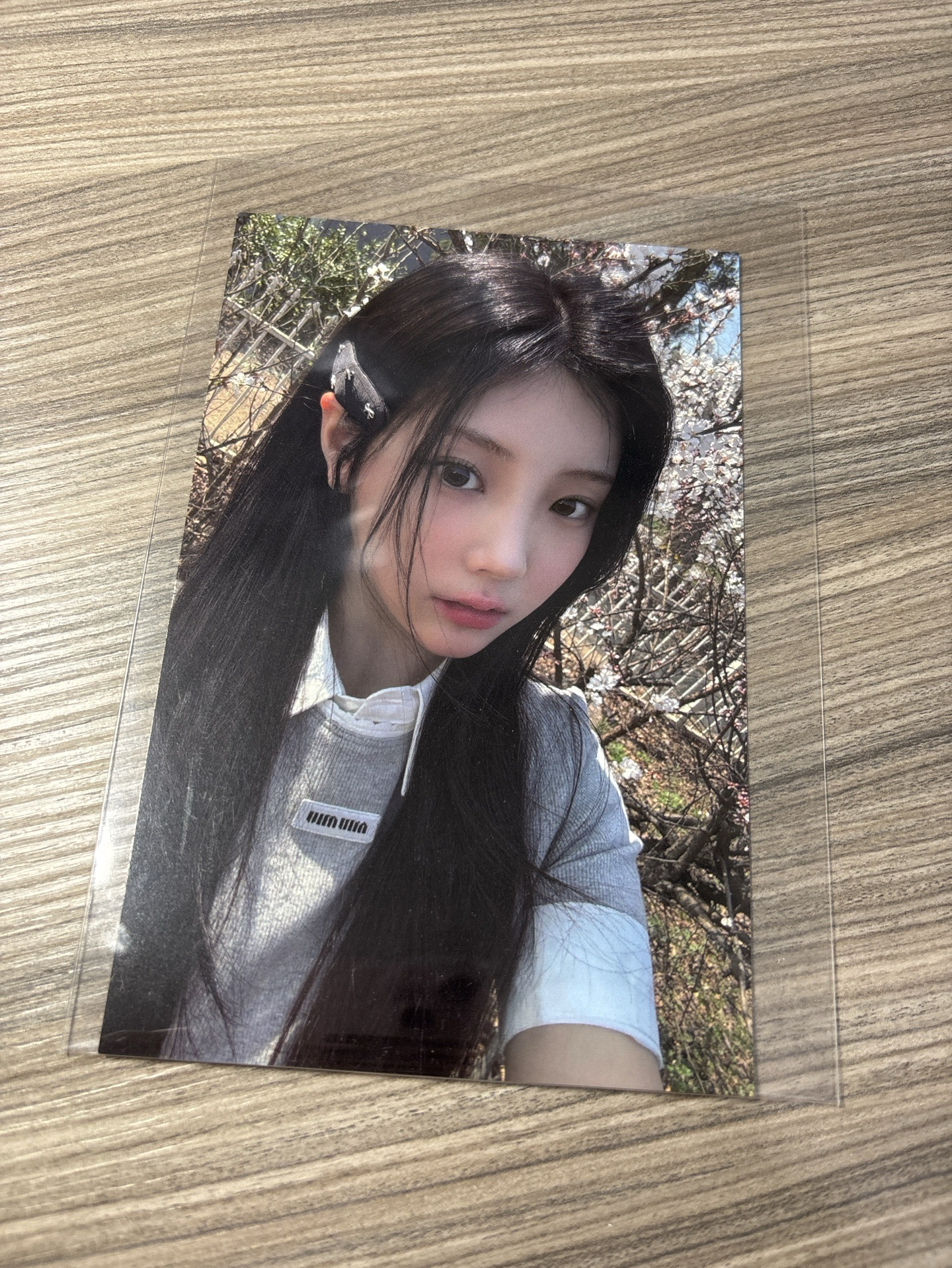 李沅禧寫真書mp特典