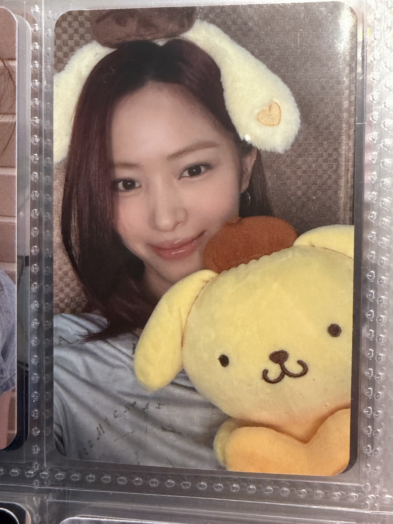 布丁狗留真 中背