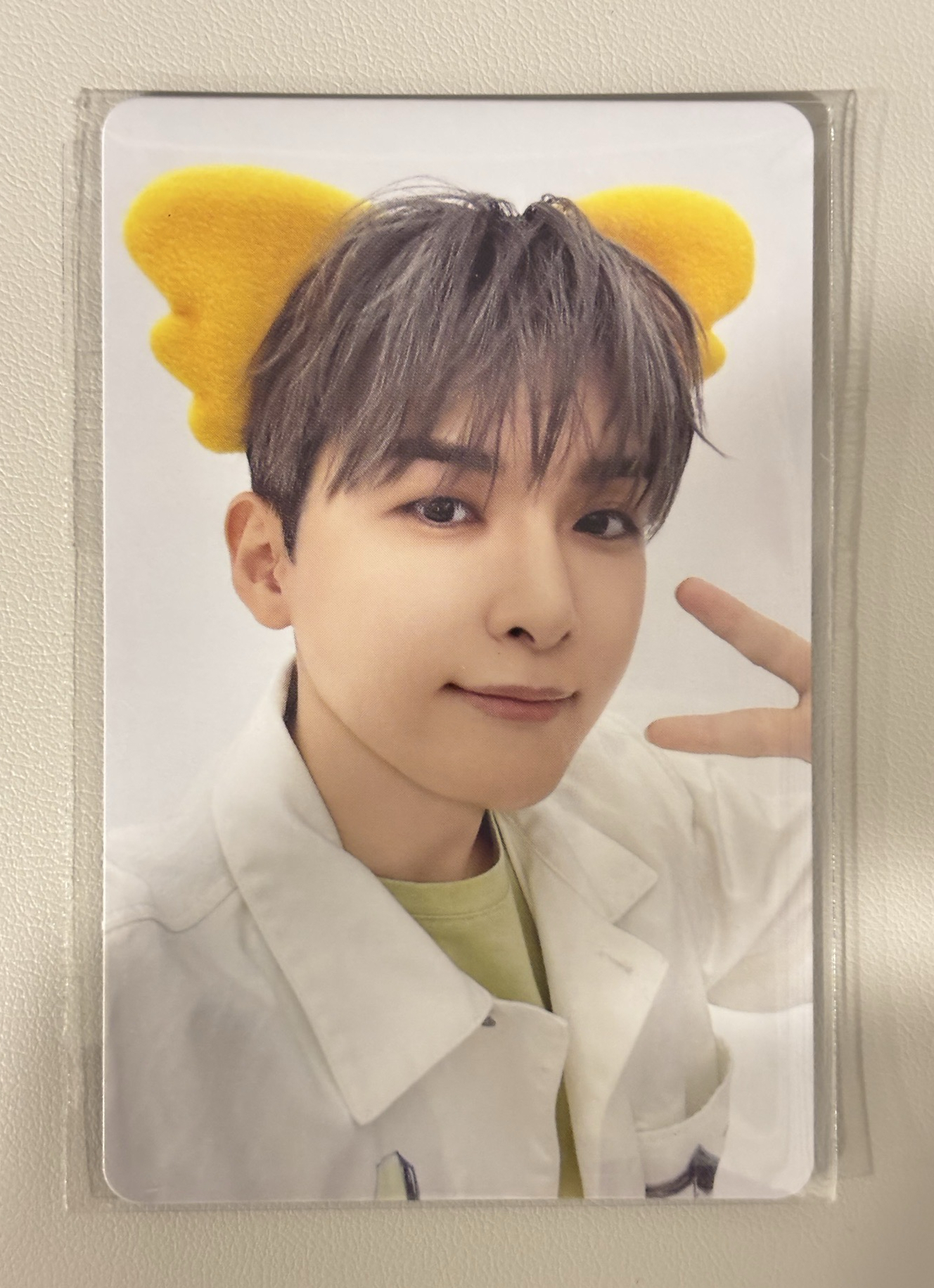 Super Junior SS10 小熊餅乾卡 