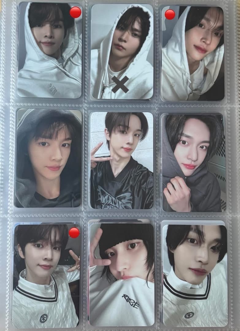 燦彬大盤（少量隊友）