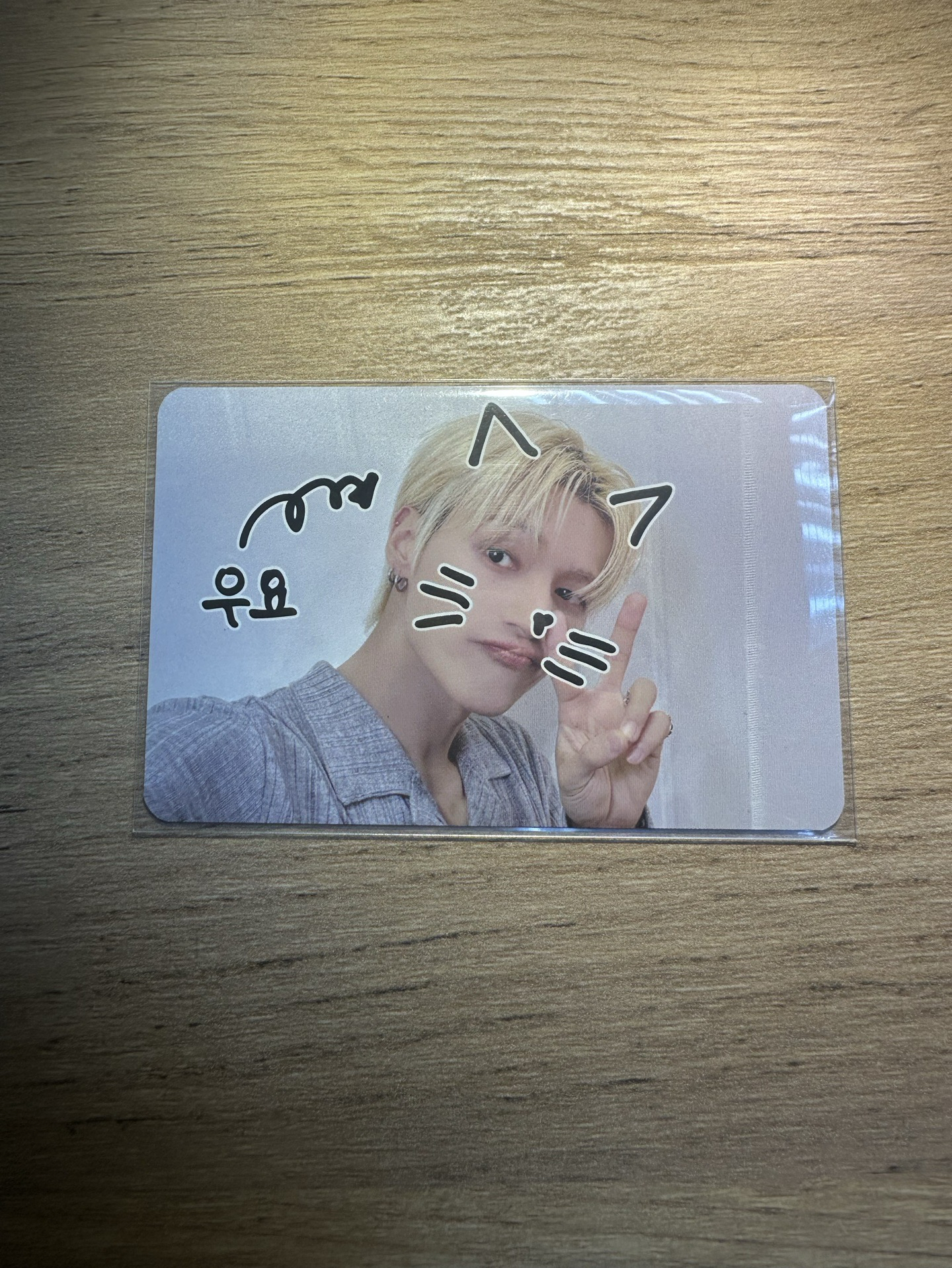 榮寵物鏡頭🐈‍⬛