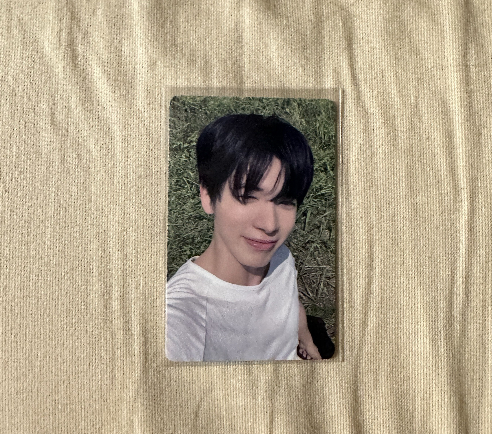 姜姜小貓駕到語音卡