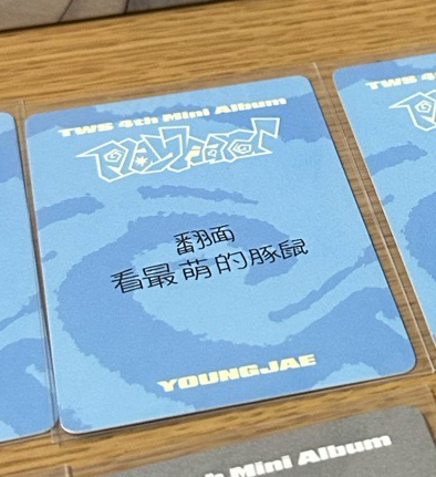 英宰中文卡背（翻面看最萌豚鼠）