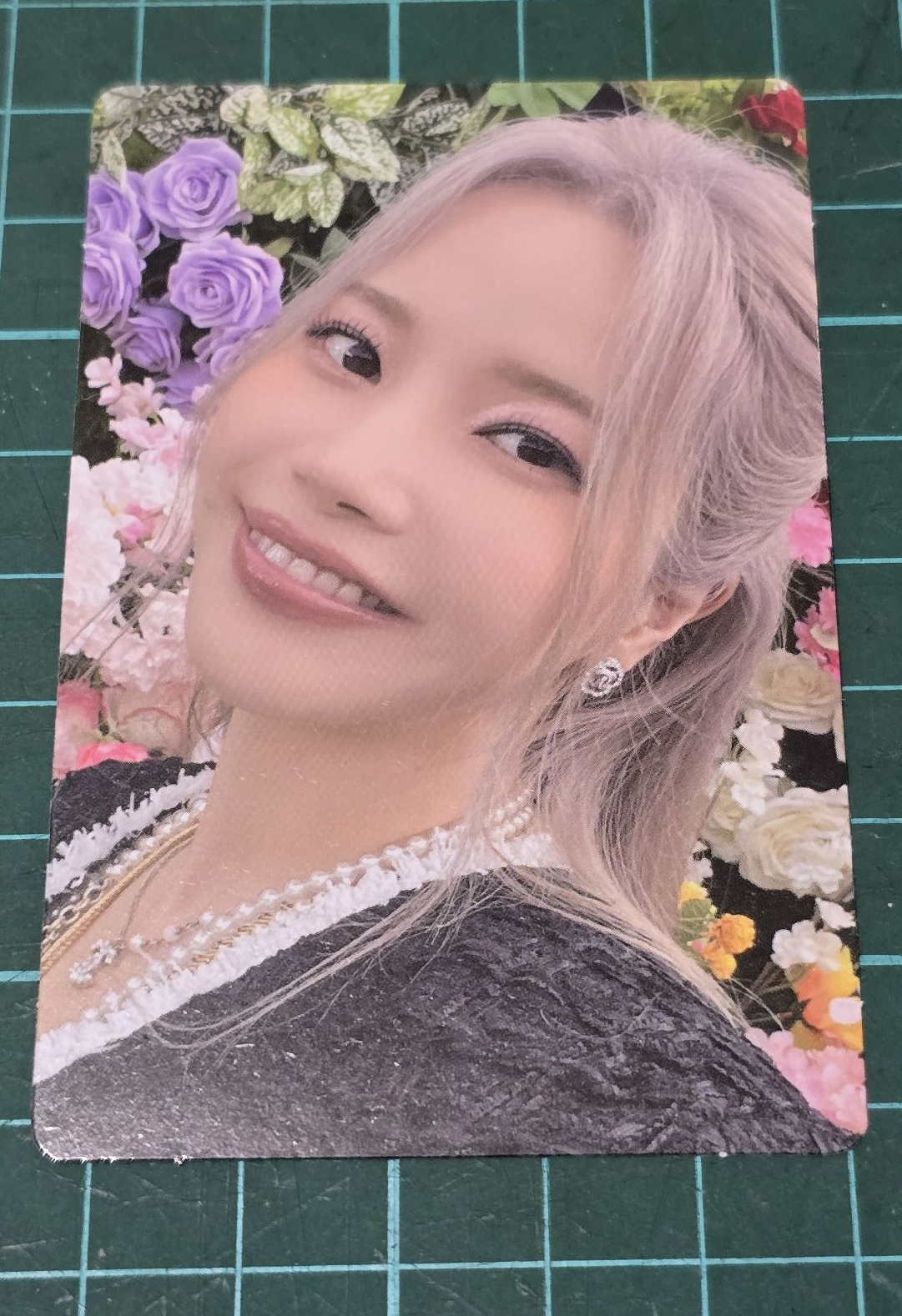 two rabbits 頌樂 solar 小卡