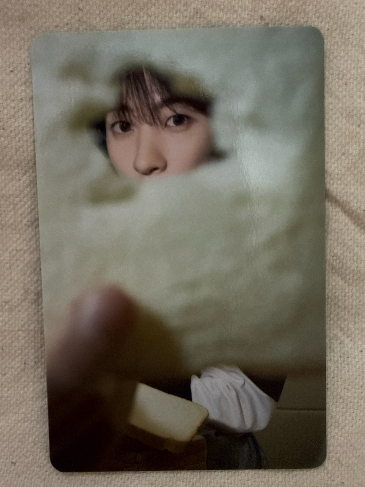 Anton單封專輯卡🦕