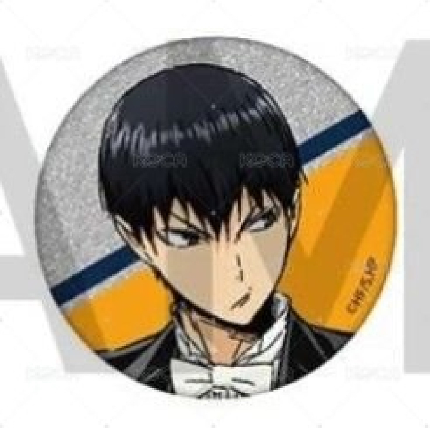 排球少年 影山飛雄 音樂會閃徽