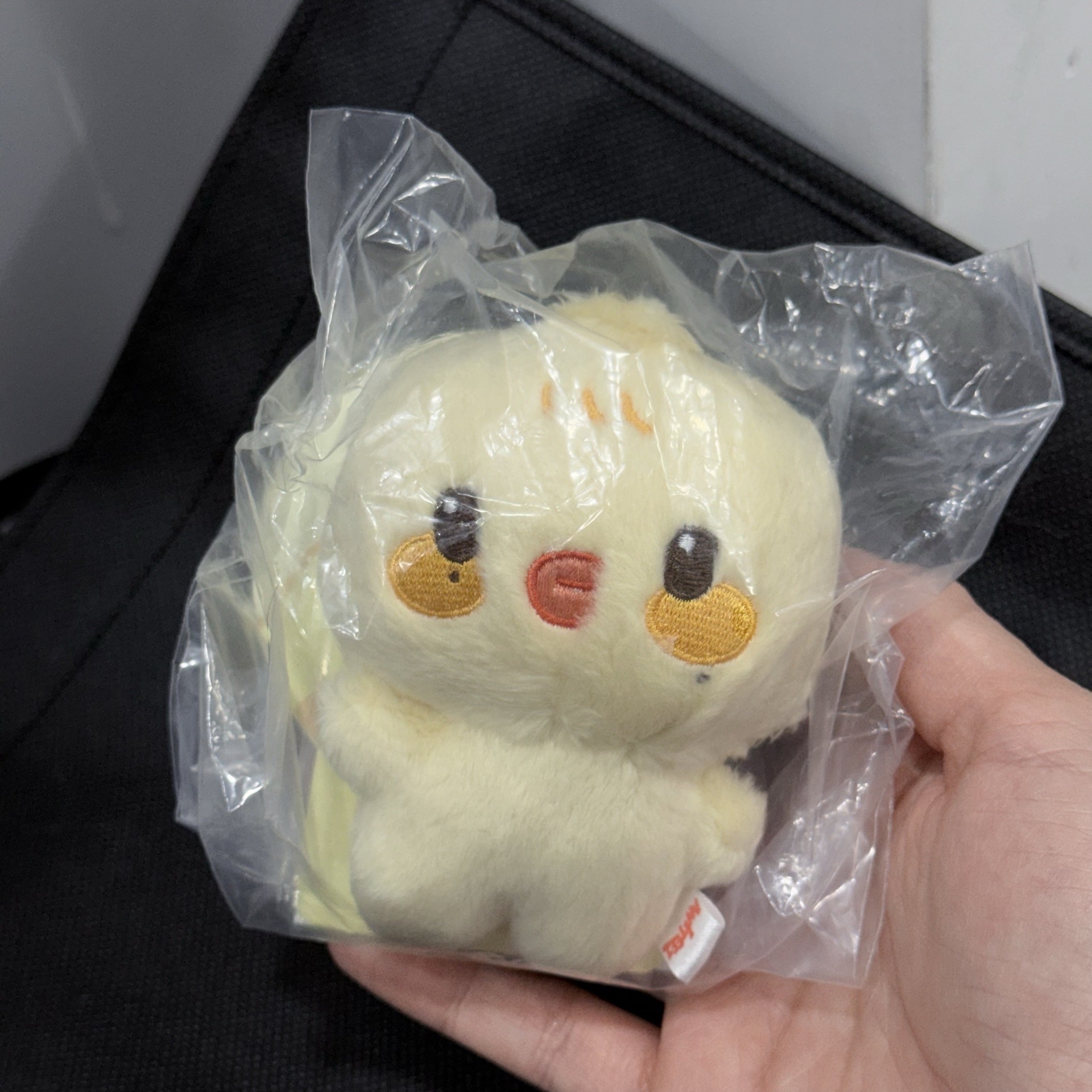 挑過臉的圓滾滾小雞寶寶🐥旼琦寶寶娃