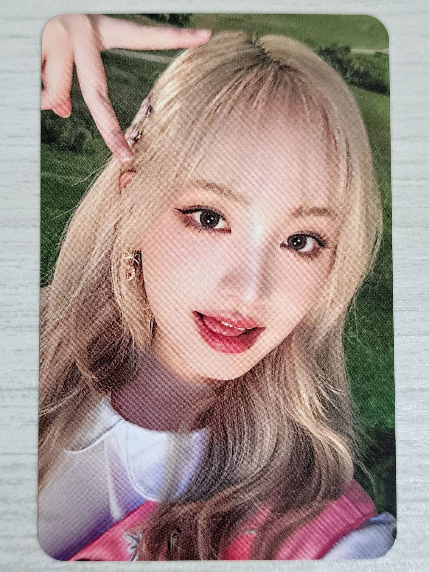 三期會員 會員禮卡 栗