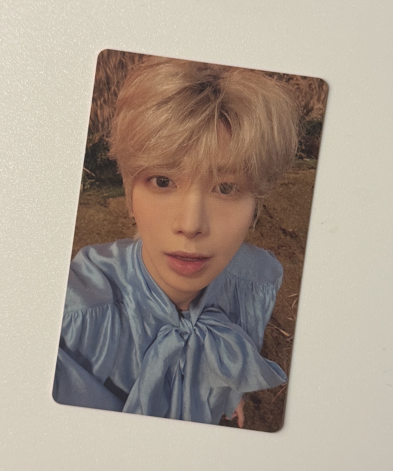 迷六 專輯卡 單封 Light版