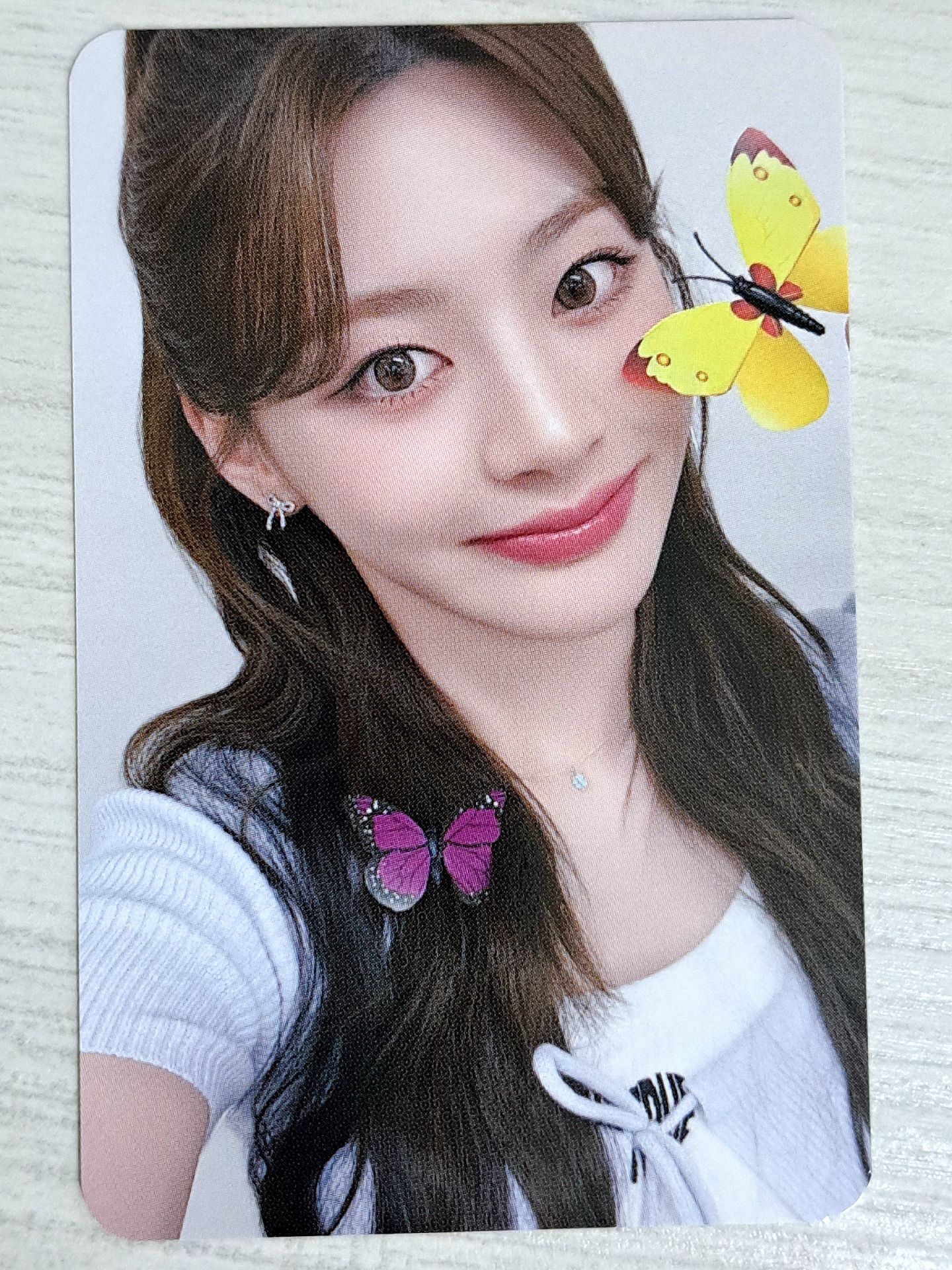 Metamorphic ms 1.0 蝴蝶森