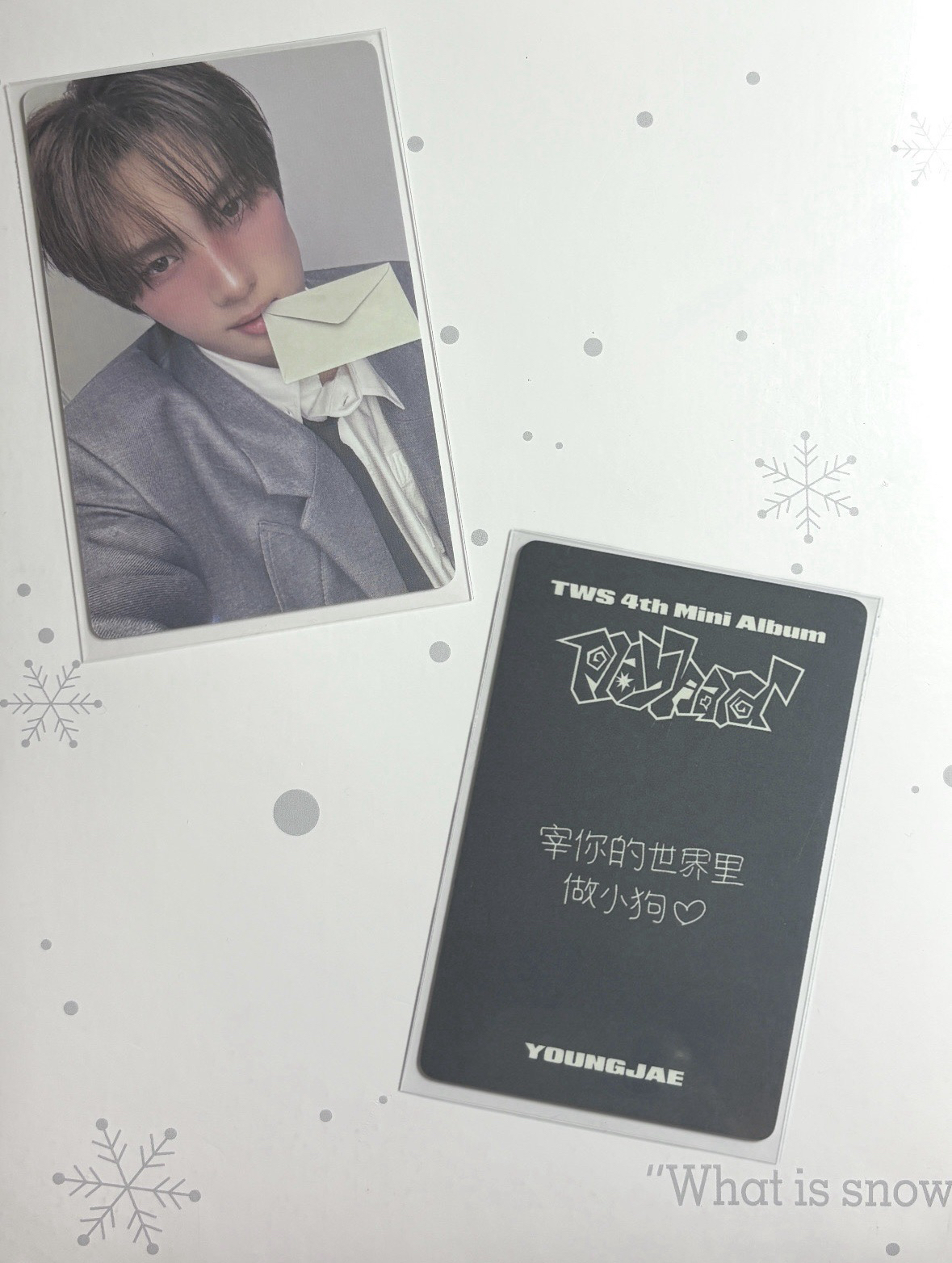 宰你的世界里做小狗🤍