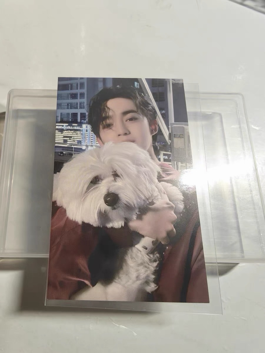 MINI10 環球 東京 入場卡 / 場限卡 