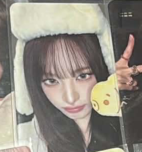 鯛魚燒栗 很美麗