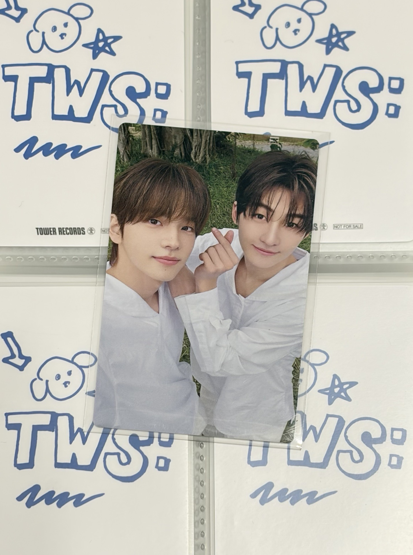 日專 WVS限定 15雙人卡