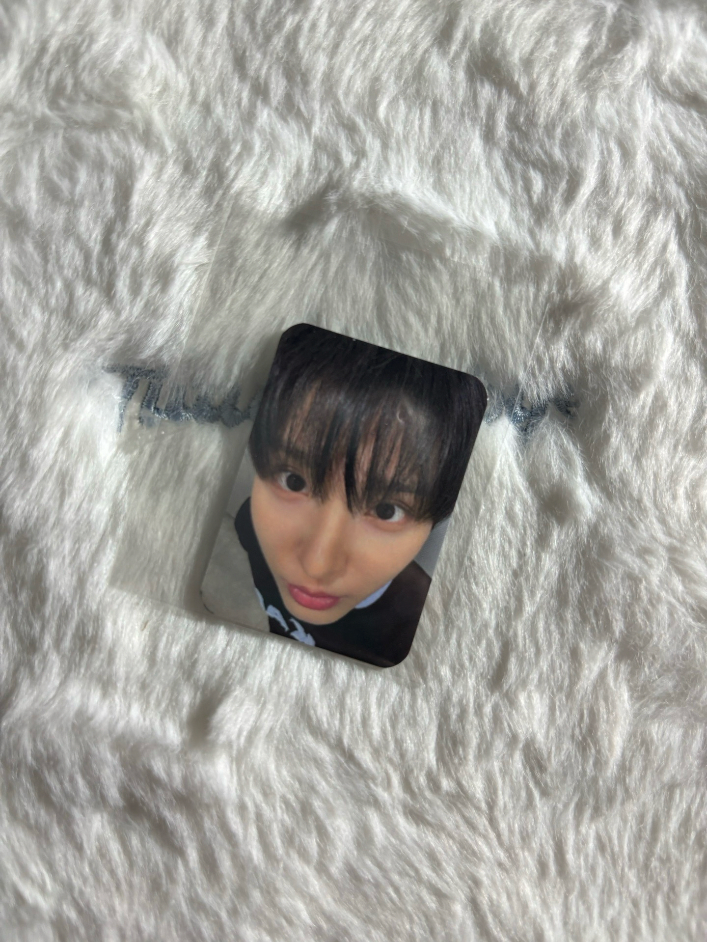 主汪 迷二 ms 6.0迷你卡 簽售卡 懟臉拍ver.