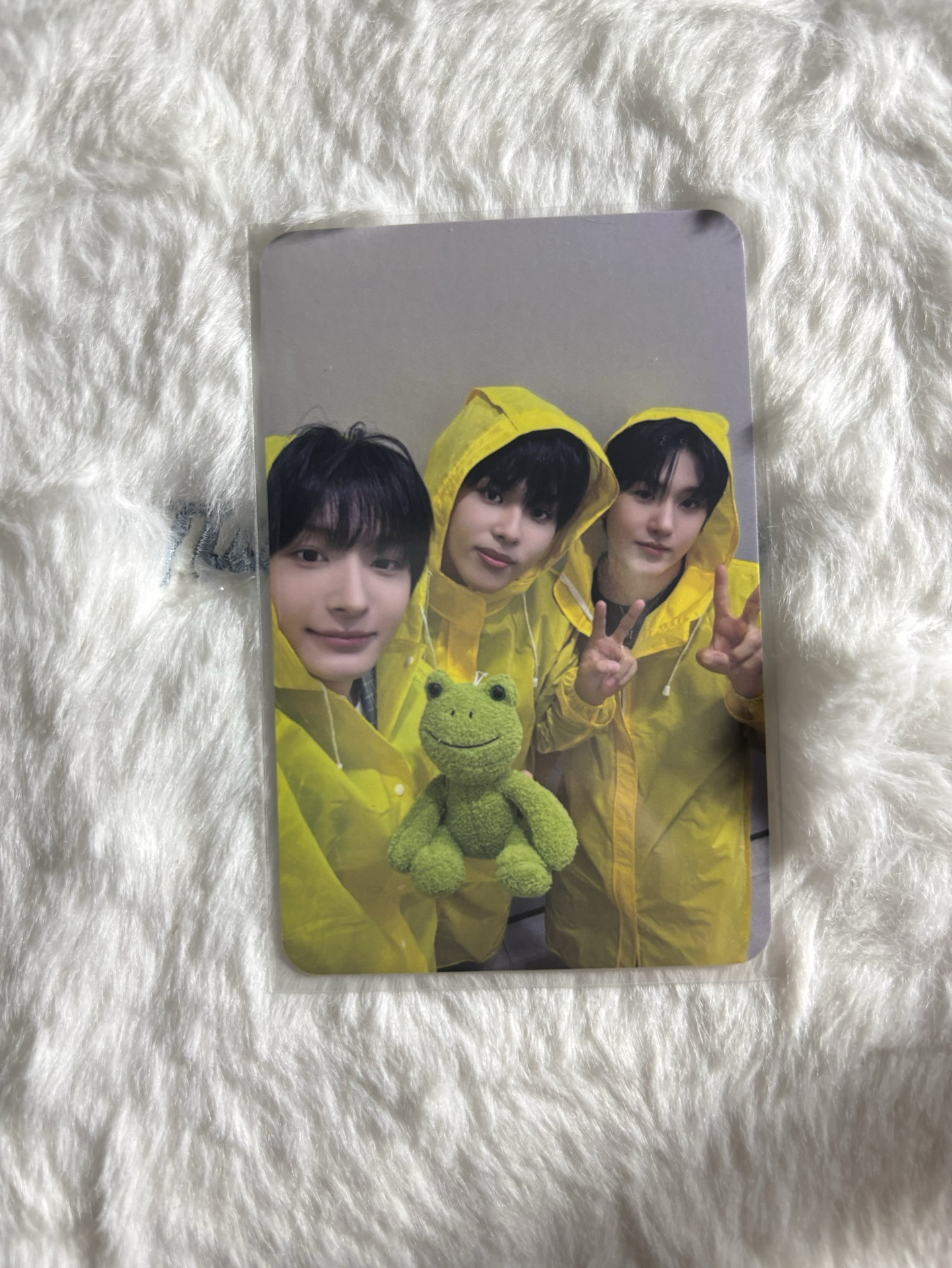 啟訓x亞丸x東花 迷二 ms 5.0線下 簽售卡 雨衣ver. 123