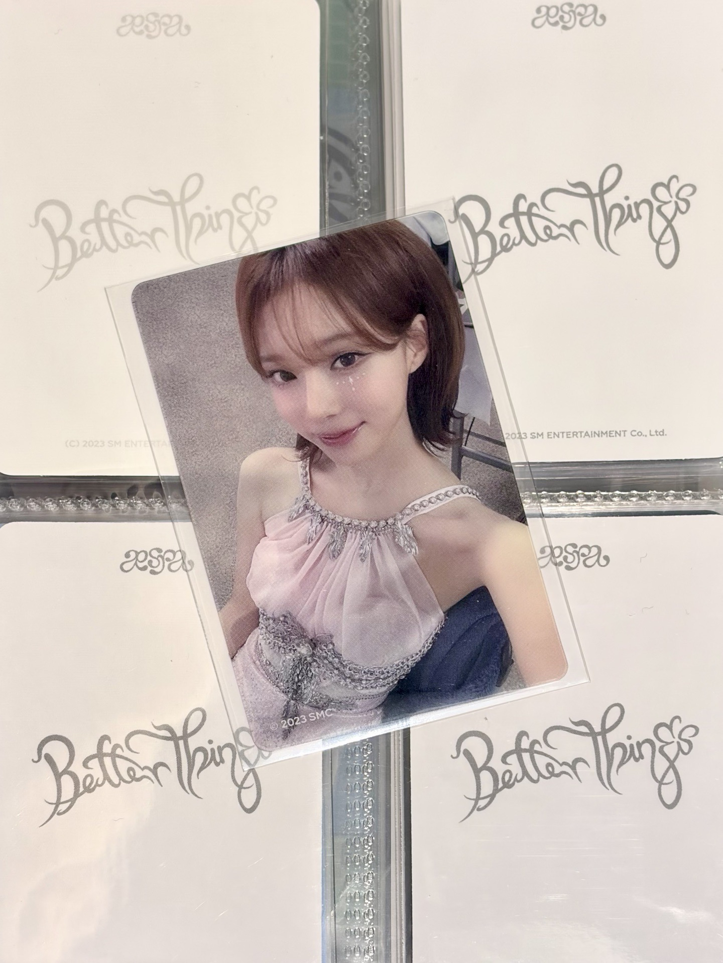 一張粉色的短毛萌犬 Zozotown 冬