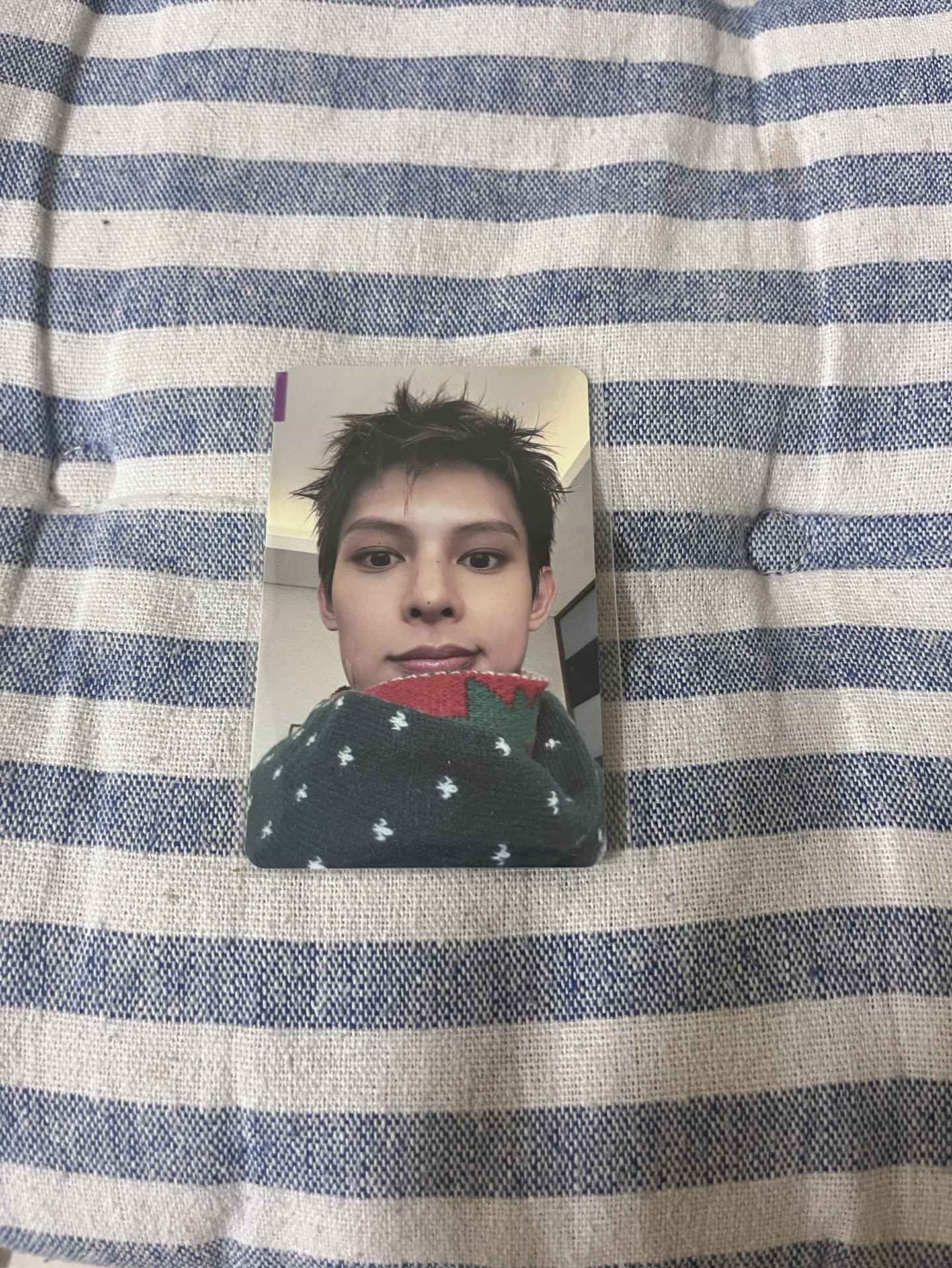 聖誕帥弟盯著你