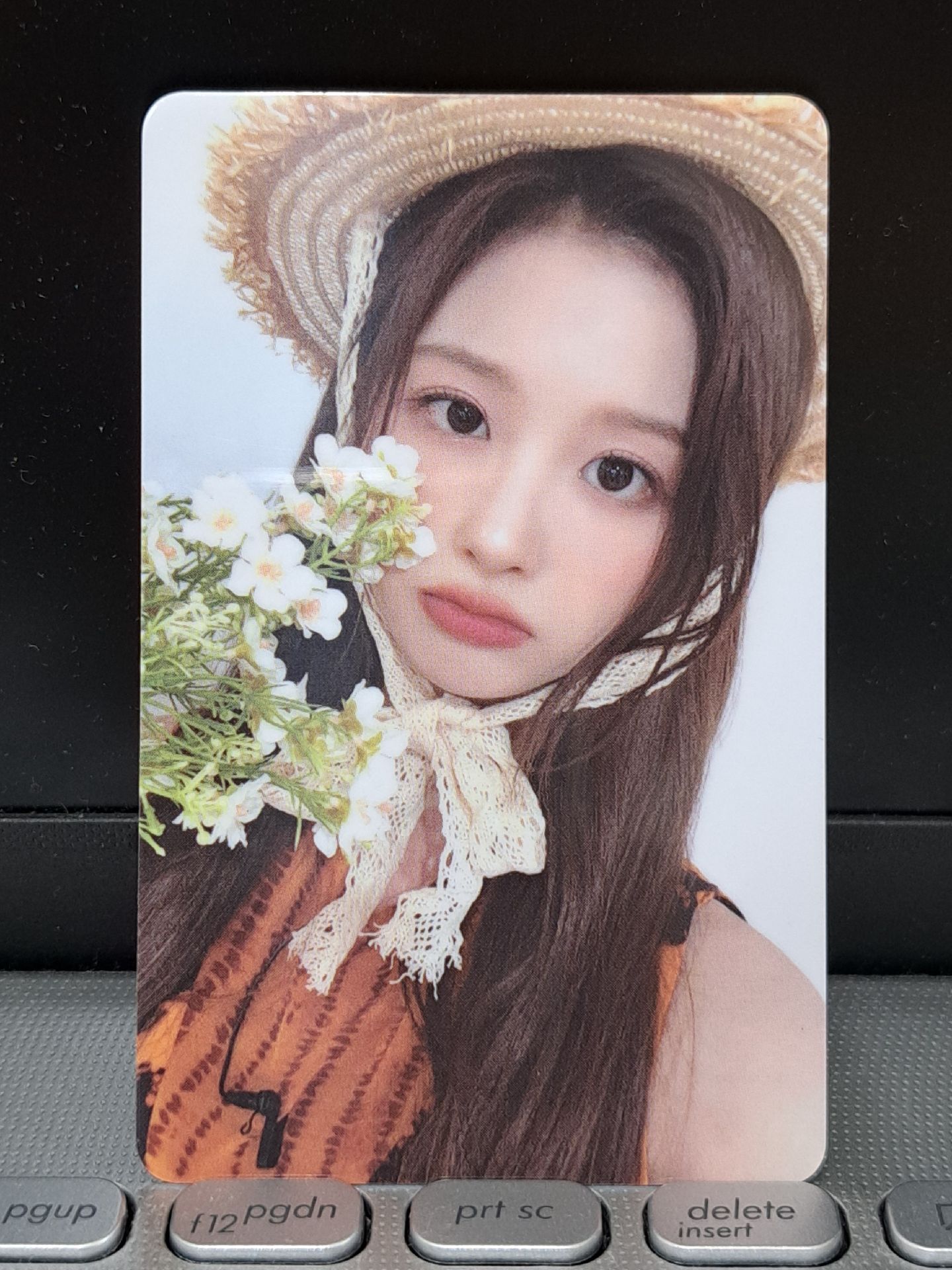 ms 野餐薛 pvc材質