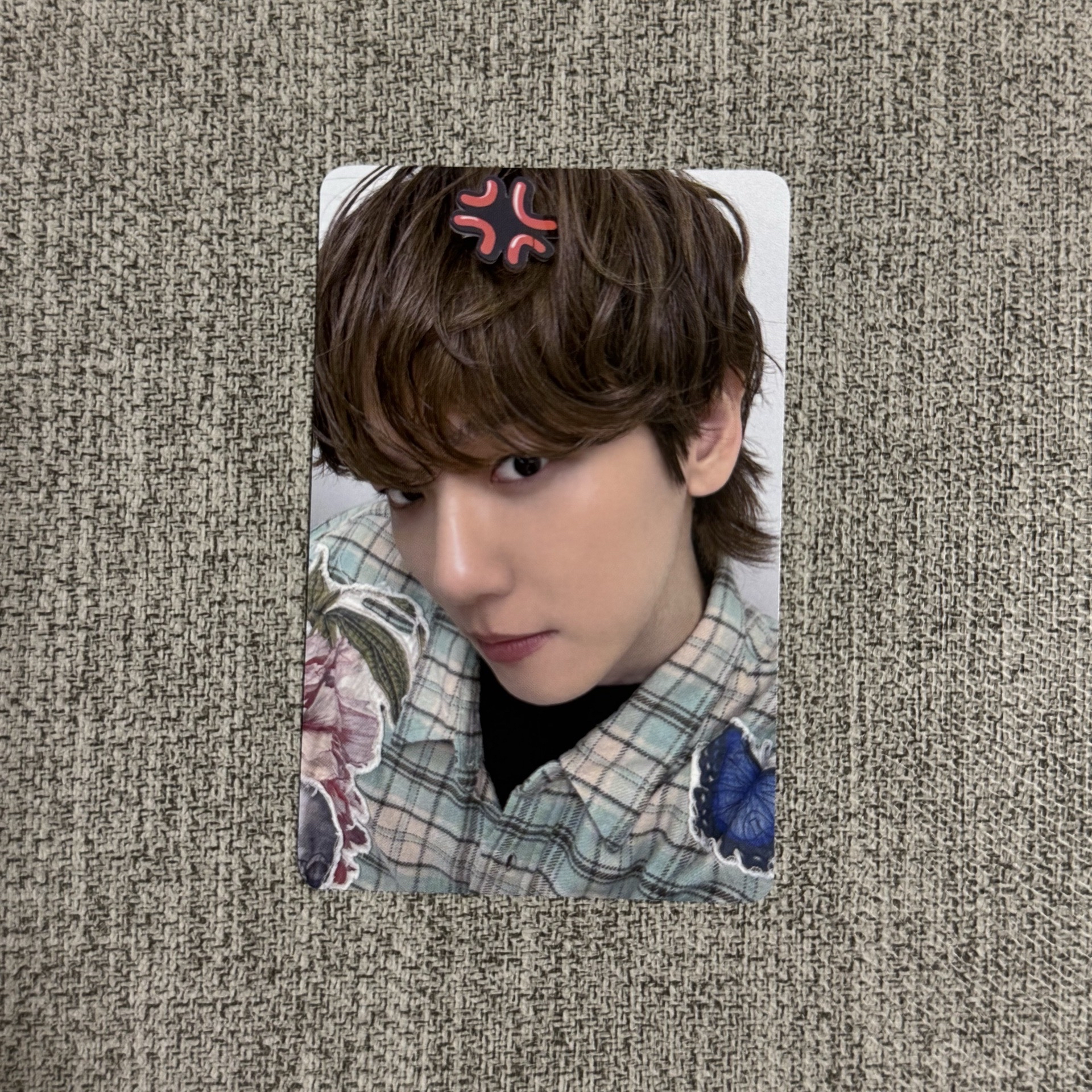 bolo5 el 合影 特典卡 ver.A