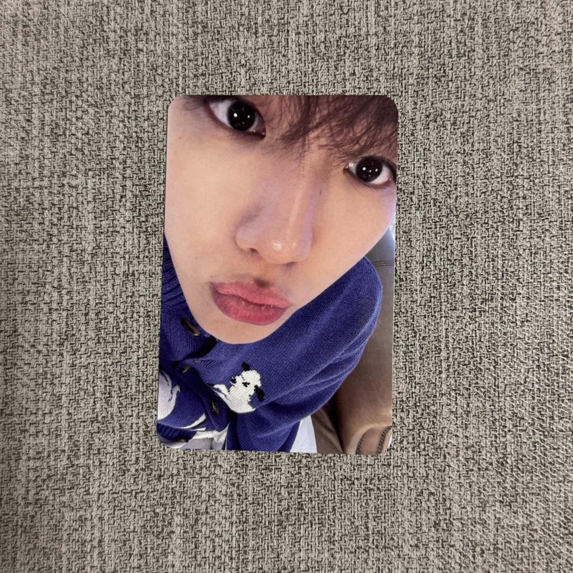 bolo5 yes24 簽售卡 