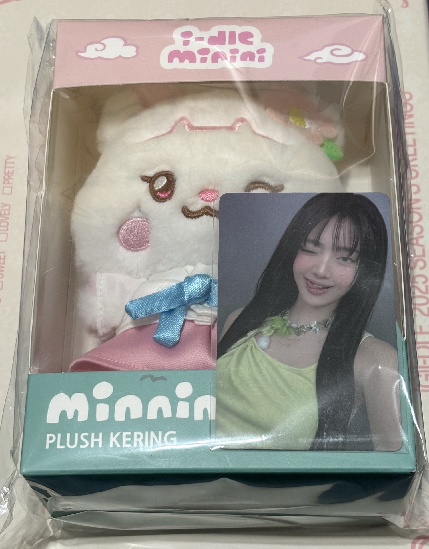 特別版吊飾含卡 妮小盤 (娃+15張妮卡)