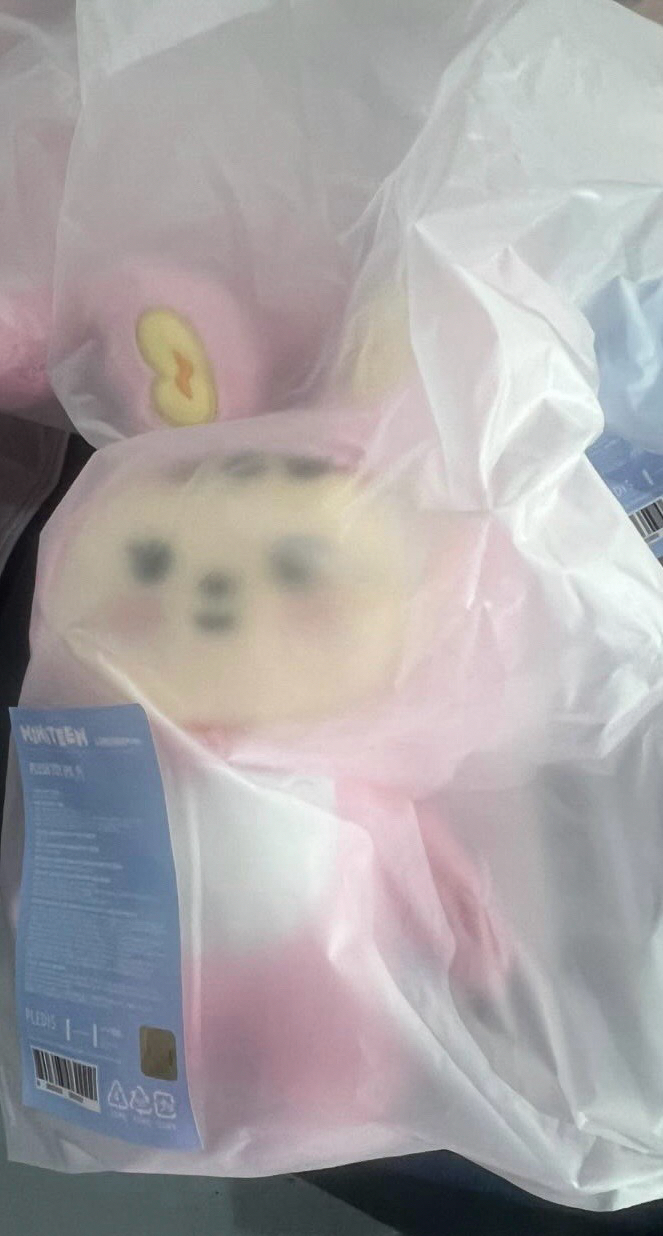 SEVENTEEN 尹淨漢 Miniteen 站娃 兔拉米