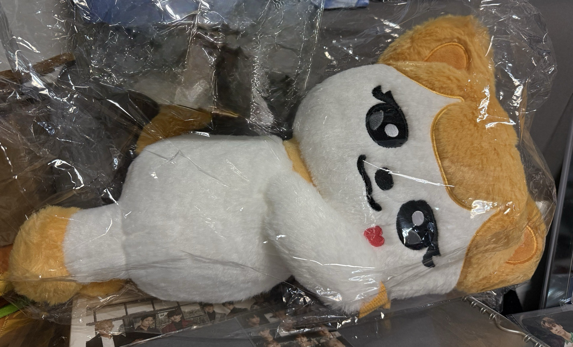 KM福袋商品出售-IVE盤