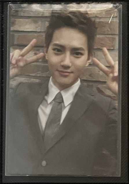 GROWL專輯小卡SUHO金俊勉