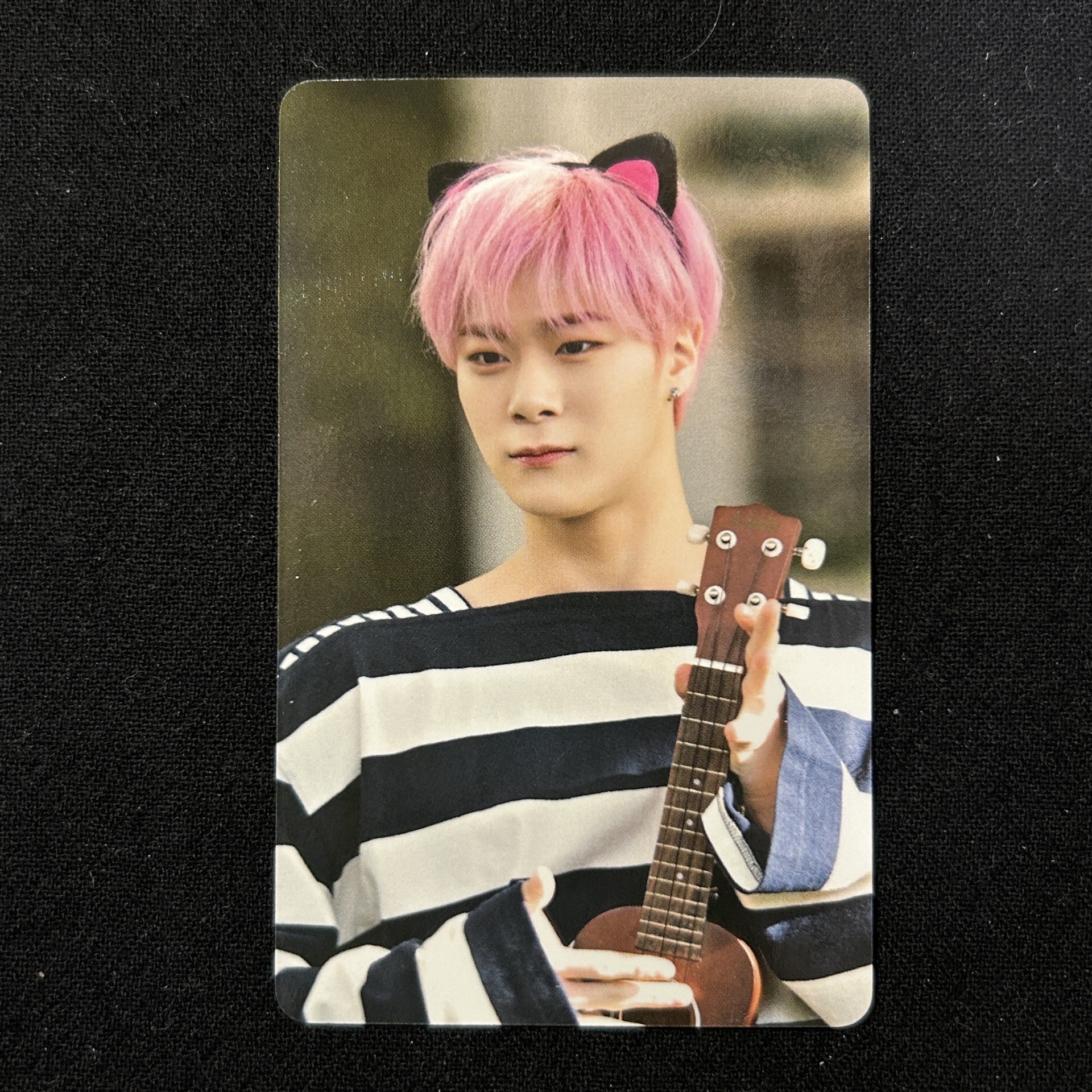 文彬 二巡 演唱會 DVD / CD 卡 日本