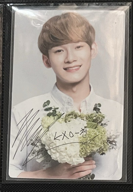 自然樂園小卡CHEN金鍾大