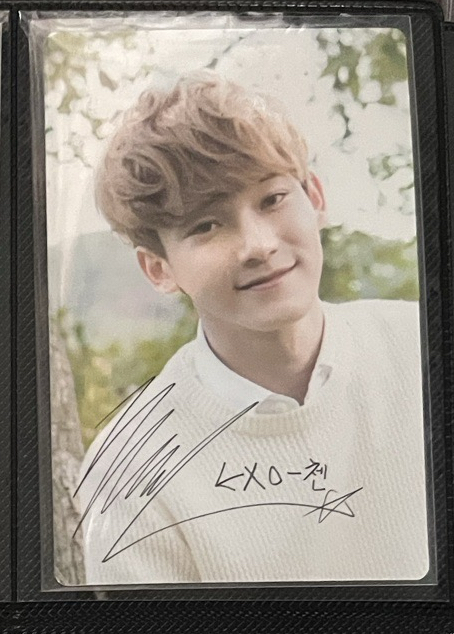 自然樂園小卡CHEN金鍾大