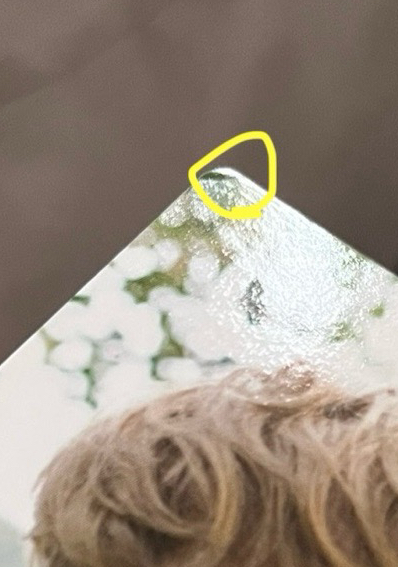 自然樂園小卡CHEN金鍾大