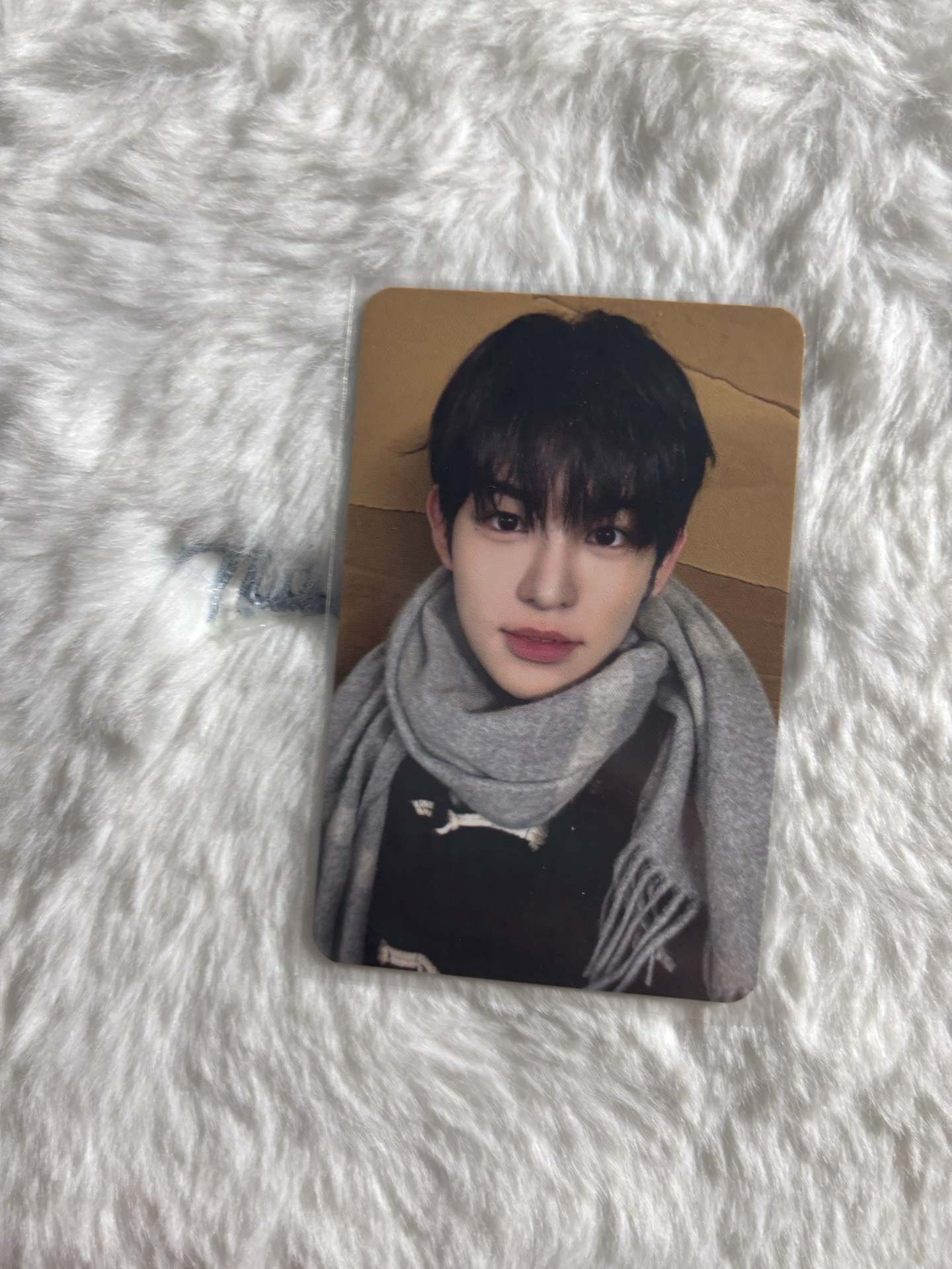 旻帝 迷三 ms 8.0線上 簽售卡 牛角扣大衣ver.