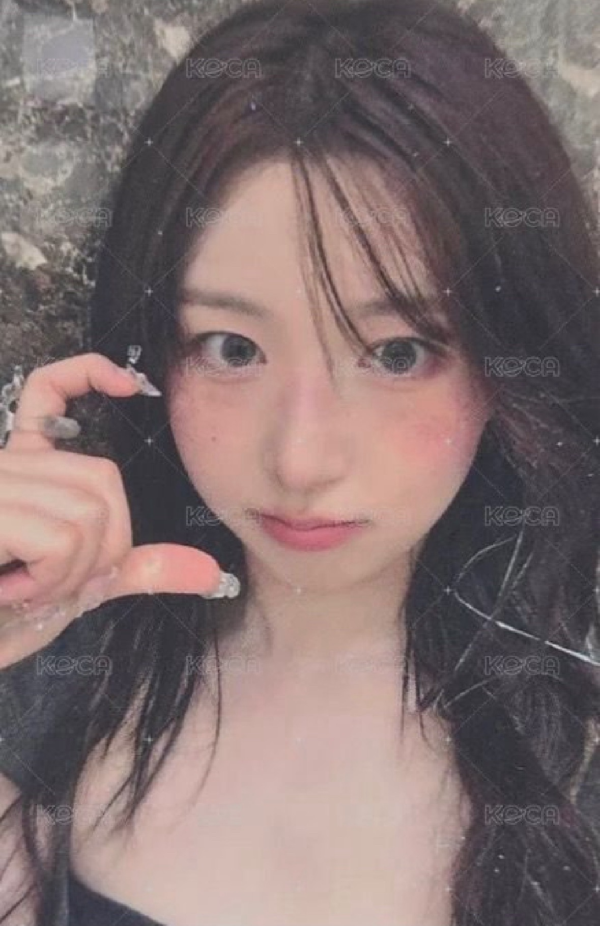 正規一 bdm 預售 特典卡 