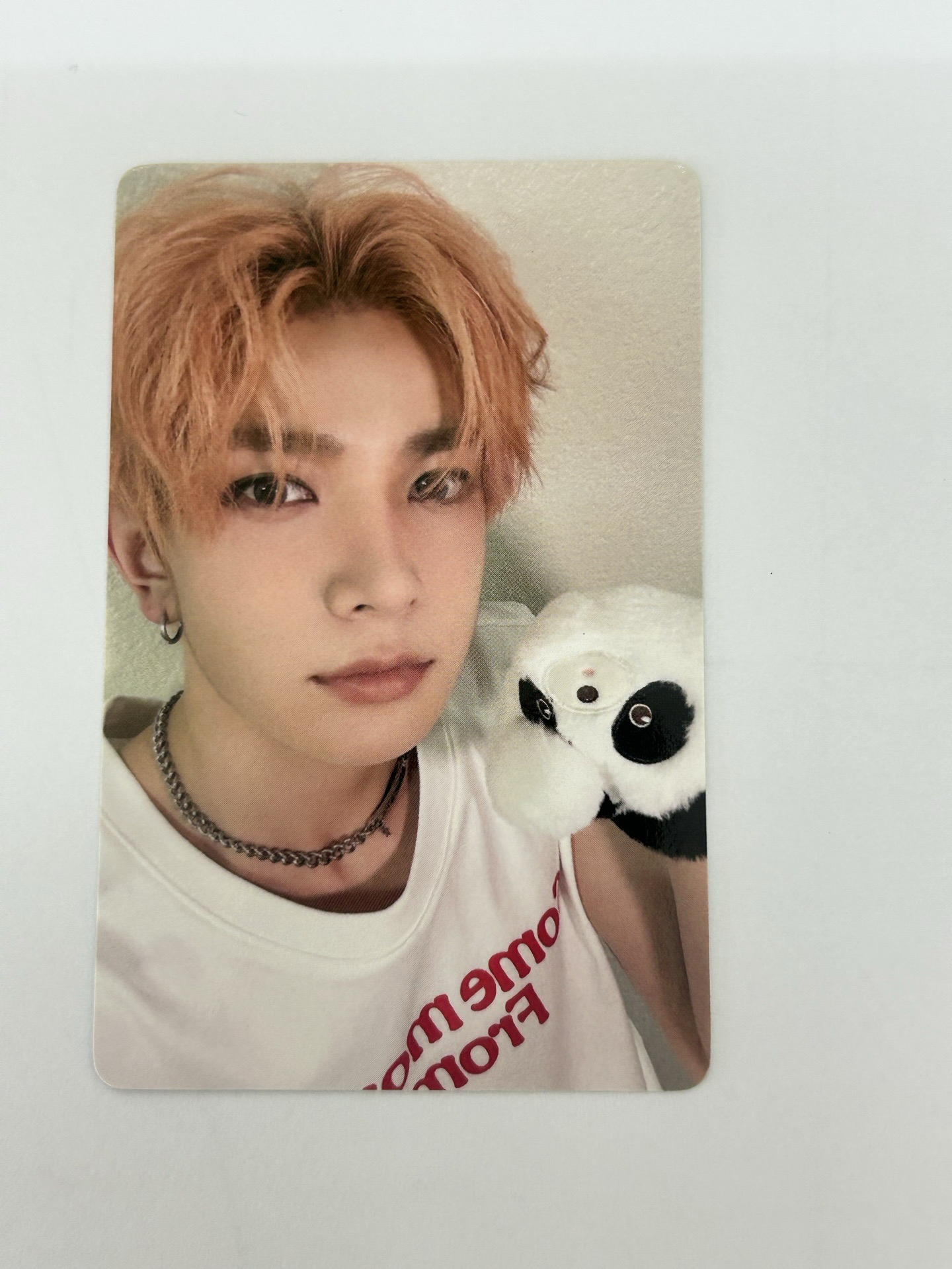 ENHYPEN 一直娛熊貓3.0特典