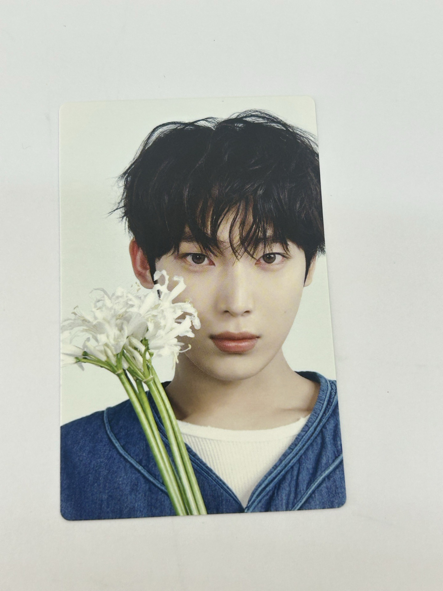 ENHYPEN 日專宵YOI 初回B版專卡