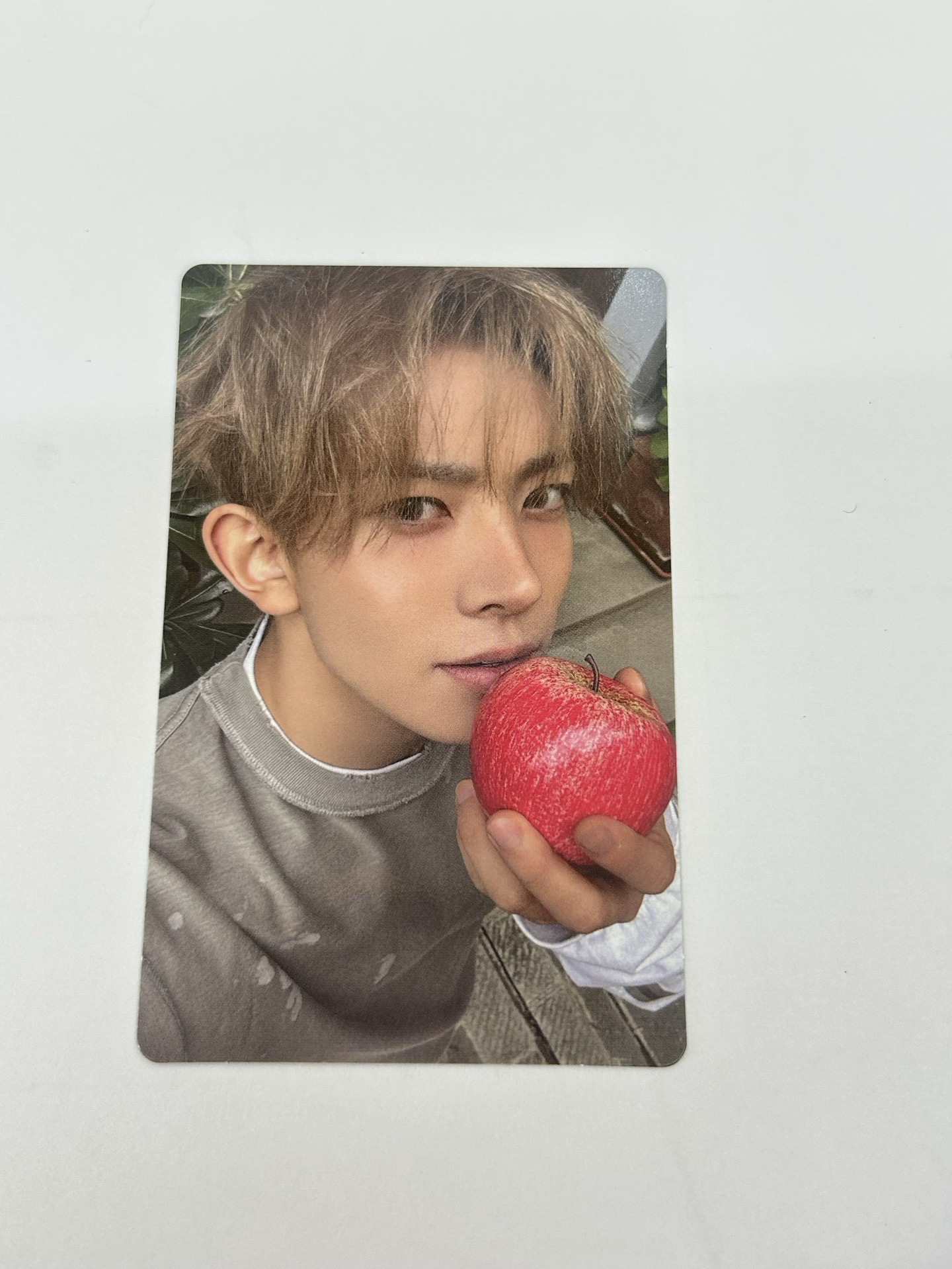 ENHYPEN 迷七wvs live PB版