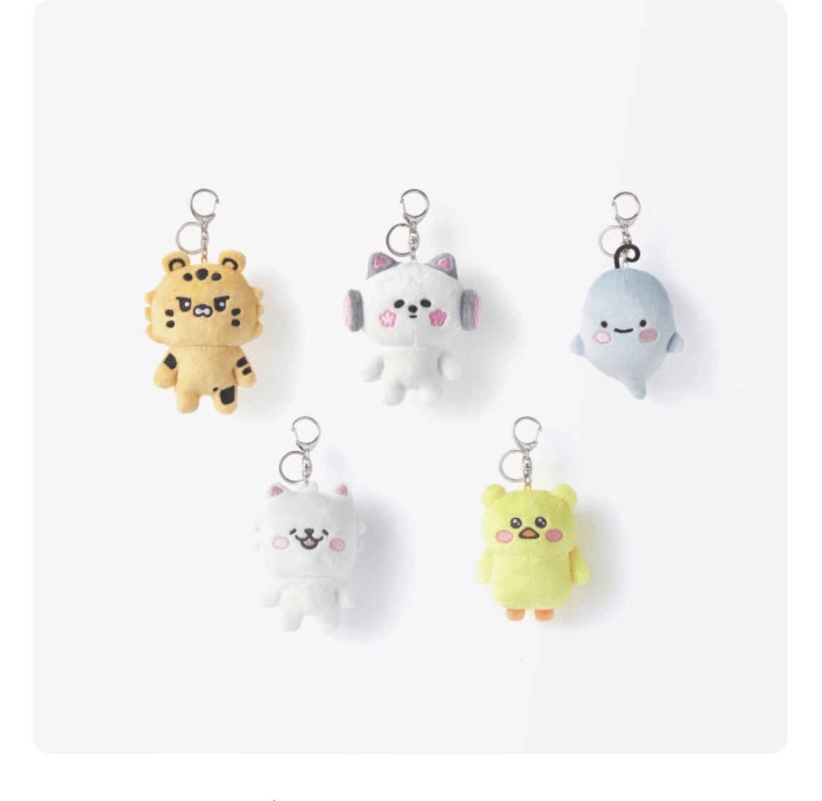 原皮娃一套 （現貨）