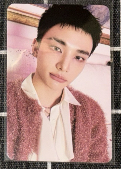 D（20）