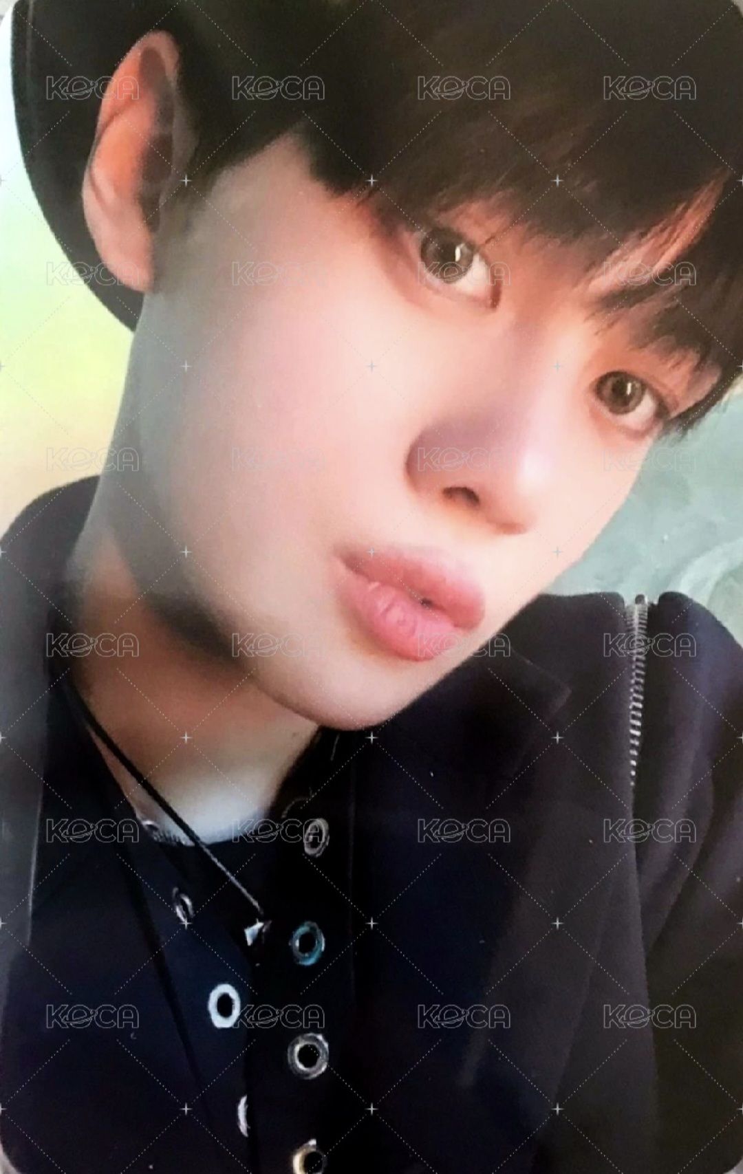 冬季奎尼尼 小卡