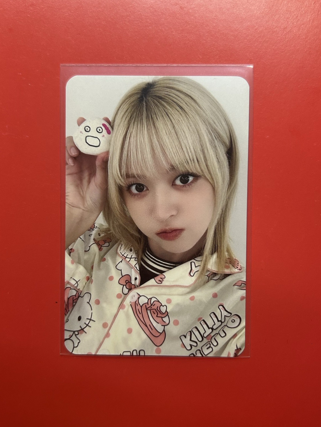 NMIXX 寵物石頭莉