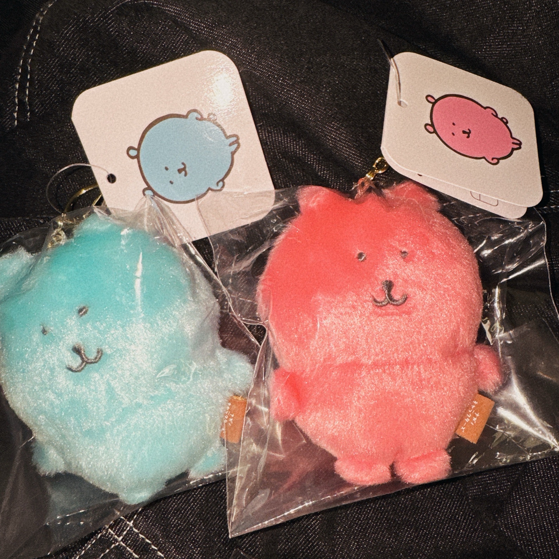 台灣限定 自嘲熊 亮粉色 湖水藍