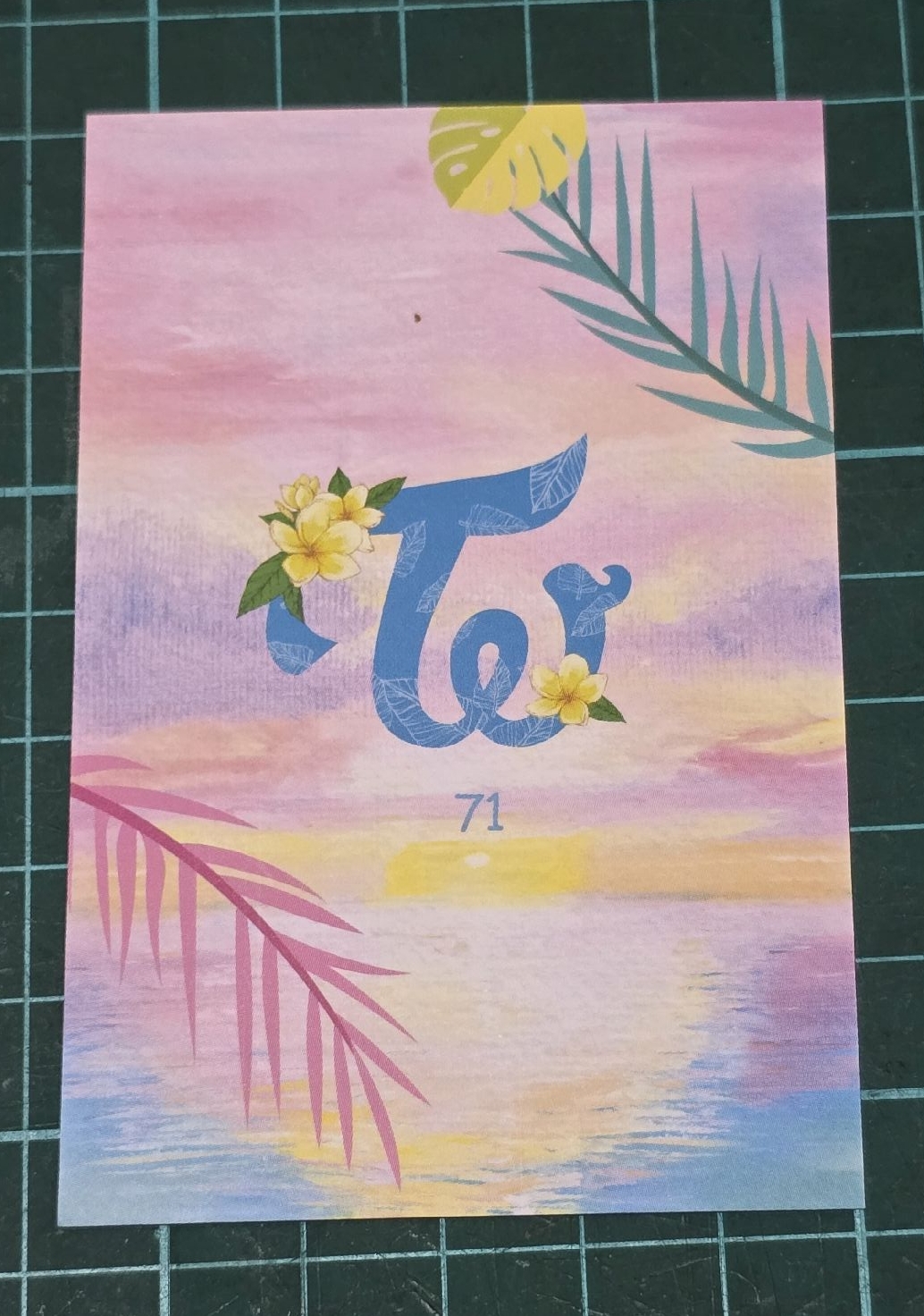 夏日隨機卡 71 娜璉 